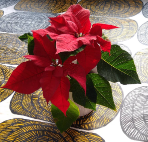 vazo, noel yıldızı, kırmızı, bitki içeren bir resim
Yapay zeka tarafından oluşturulmuş içerik yanlış olabilir.