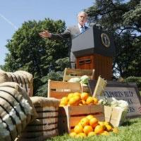 ağaç, açık hava, taze içeren bir resim
Açıklama otomatik olarak oluşturuldu