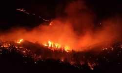 Hatay'da orman yangını!