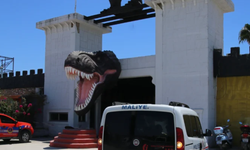Zeus'un kaçtığı hayvanat bahçesinin sahibine adli kontrol!