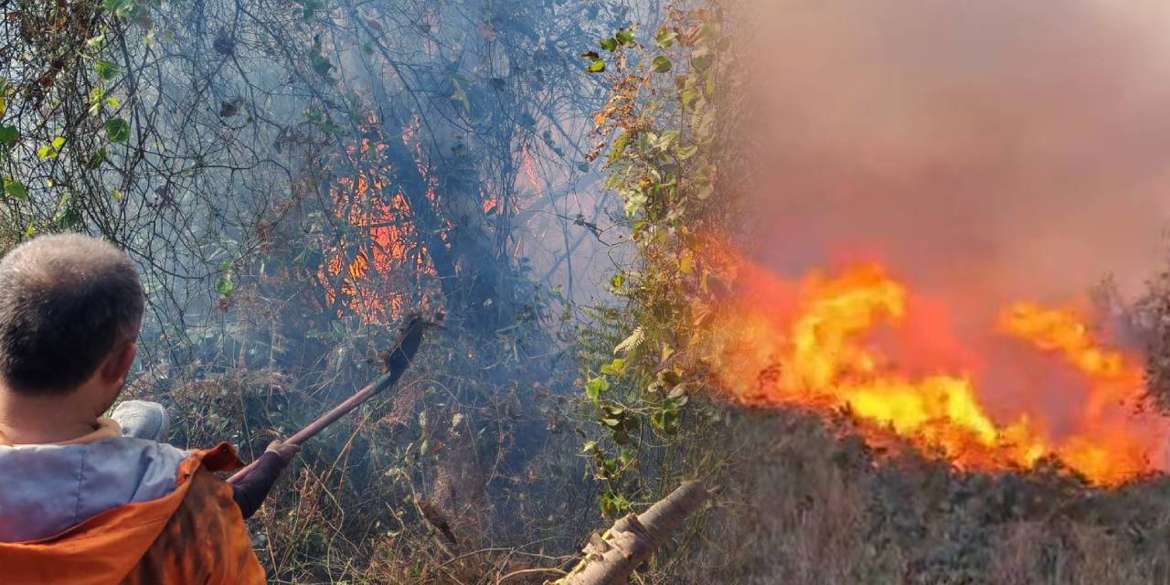 Artvin’de bahçedeki yangın ormana sıçradı! Kara dumanlar gökyüzünü kapladı