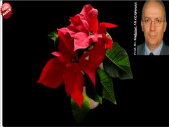 “ÖNDERİMİZİ SEVGİ ve SAYGIYLA ANIYORUZ !!!”