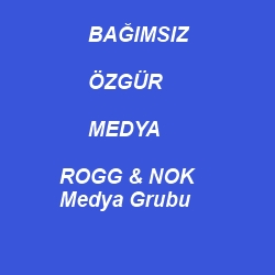 Tunceli'de 11gün süren yangında neler oluyor