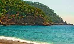 Orman kıyılarının turizme tahsisi yasalaştı