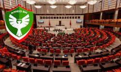 Meclis'te Amedspor'a sansür