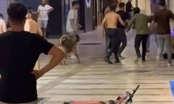 Esnafla müşteriler birbirine girdi! Kavgayı sokak köpekleri ayırdı