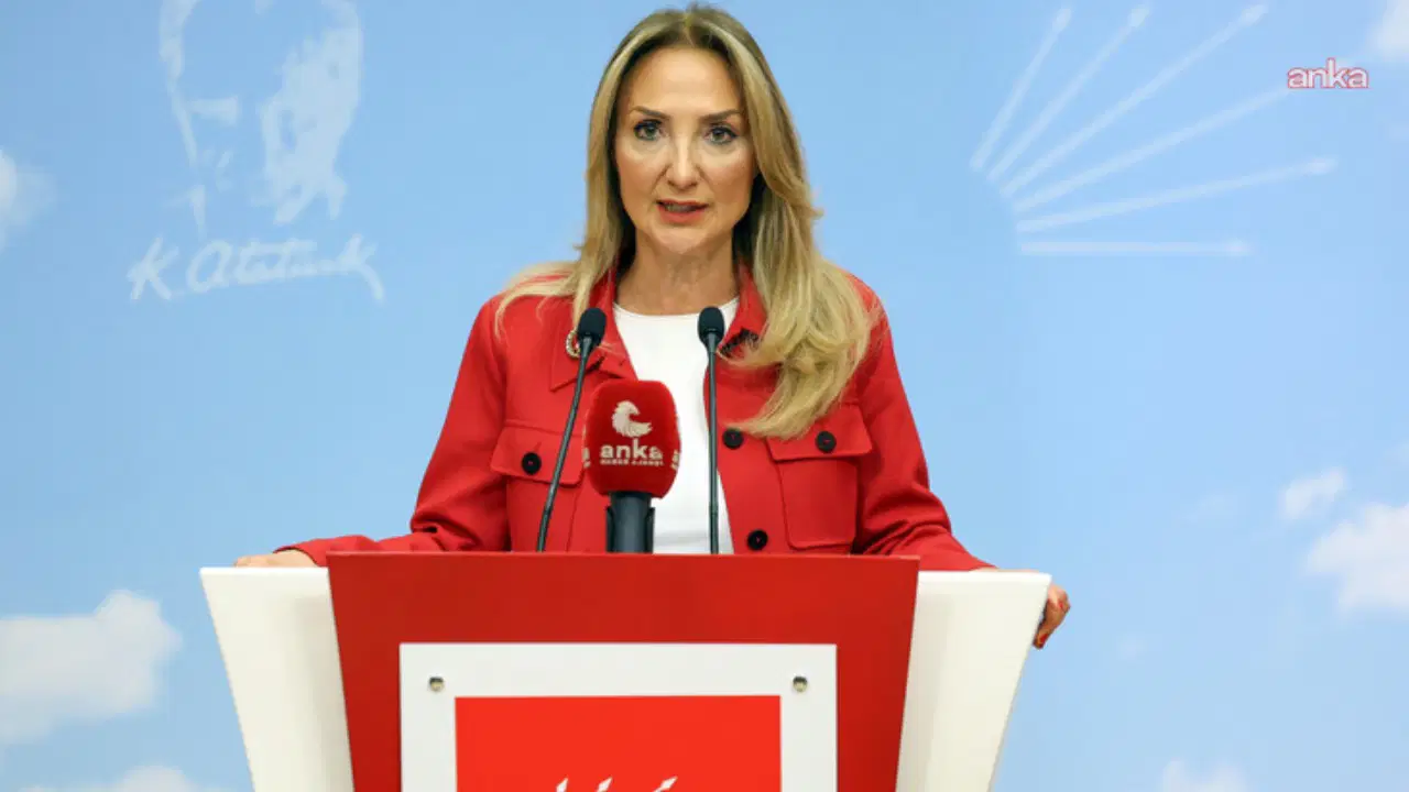 'Yenilikçi bir model gibi sunulsa da...'