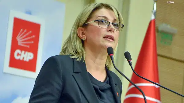CHP'li Asu Kaya'dan 'Komşu Anne' projesine tepki