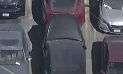 Aracından ceset çıkmıştı! Dünyaca ünlü şarkıcıya kötü haber