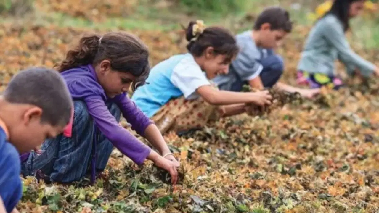 CHP'li isimlerden 'Dünya Çocuk Hakları Günü' mesajları
