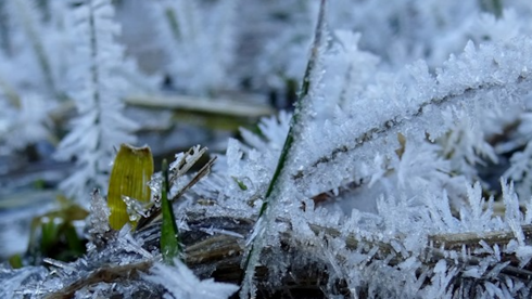 Kars’ta dondurucu soğuk: Dereler buz tuttu