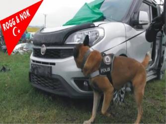 Osmaniye'de 'Poyraz' adlı köpek, kasım ayının en başarılı narkotik arama köpeği seçildi