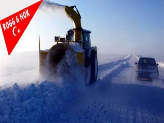 Doğu Türkistan'da aralıksız kar yağışı ve çığ nedeniyle 1000 turist mahsur kaldı
