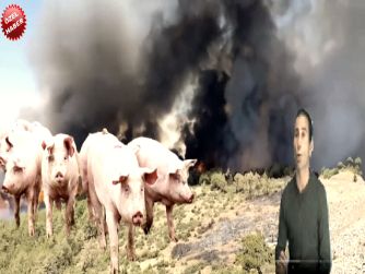 Kuraklık, Yangın ve Su Kıtlığı: