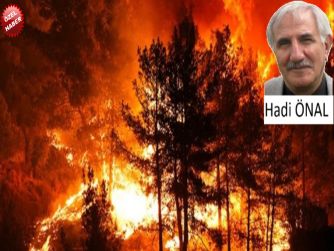 YANAN SADECE ORMAN DEĞİLDİR!
