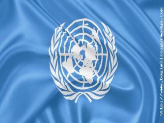 Birleşmiş Milletler İdlib için ateşkes çağrısı yaptı
