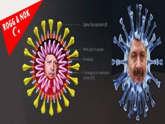 Koronavirüsün Türkiye'deki seyri, diğer ülkelere kıyasla bir avantaj sunmakta, Türkiye'de koronavirüs vaka sayısı 5'e yükseldi