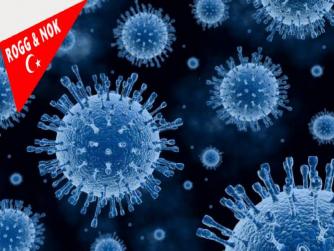 Bir vatandaşta mı?  Koca, son bir hafta içinde Umre'den dönen bir vatandaşın koronavirüs testinin pozitif çıktığını açıkladı