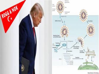 Trump'ın endişelendirici koronavirüs beklentisi