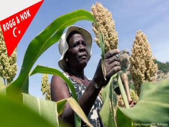 Küresel salgın nedeniyle Afrika’ya acil yardım…