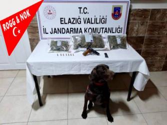 Elazığ'da uyuşturucu operasyonu: 2 gözaltı