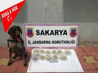 Dün sokağa çıkama yasağı varken bu seferde Sakarya'da uyuşturucu operasyonu oldu haberi ulaşmıştı...