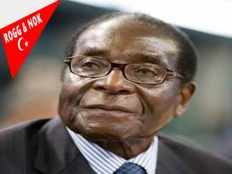 Zimbabwe Başkanı Robert Mugabe'nin ırkçılıkla ilgili konuşması
