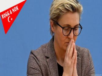 Almanya'da neler oluyor? Sol Parti Eş Genel Başkanı istifa etti