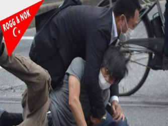 Japonya eski Başbakanı Şinzo'yu öldüren saldırgan, önceden silahı test ettiğini söyledi