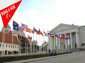 Batı savaş kolu Kulübü olan NATO'nun tarihi Vilnius Zirvesi'nin gündeminde hangi konular var?