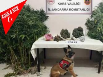 Kars'ta Uyuşturucu Operasyonunda 2 Kilo 69 Gram Uyuşturucu Ele Geçirildi
