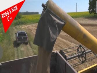 Bulgaristan, Ukrayna'dan tahıl ithalatına uyguladığı ambargoyu kaldırma yönünde oy kullandı