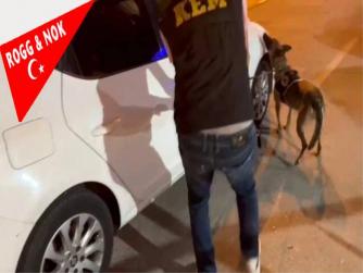 İzmir ve Çeşme'de Uyuşturucu Operasyonu: 3 Tutuklama