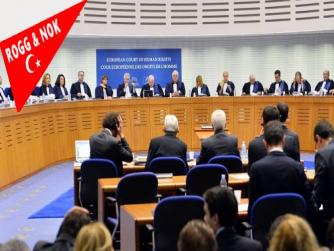 AİHM'in 'Yalçınkaya davası'nda Türkiye'yi mahkum etmesi hangi sonuçları doğurabilir?