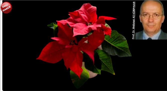 “ÖNDERİMİZİ SEVGİ ve SAYGIYLA ANIYORUZ !!!”