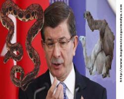 Ahmet Hakan: Ahmet Davutoğlu'nu harcayacaklar matmazel