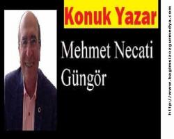 Mehmet Necati  GÜNGÖR: SİYASET UCUZLAYINCA