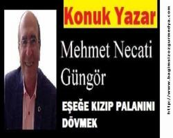 Mehmet Necati GÜNGÖR: EŞEĞE KIZIP PALANINI DÖVMEK