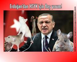 Fareli köyün kavalcısı Erdoğan'dan HSYK için yorum!