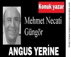 Mehmet Necati GÜNGÖR: ANGUS YERİNE BRANGUS