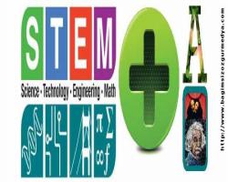  Erdal Akalın: Eğitimde STEM+A Modeli!..