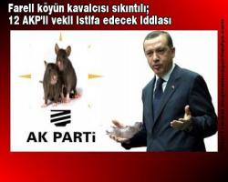 Fareli köyün kavalcısı sıkıntılı; 12 AKP'li vekil istifa edecek iddiası