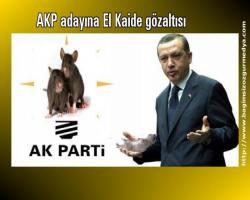 AKP adayına El Kaide gözaltısı