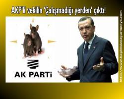 AKP'li vekilin 'Çalışmadığı yerden' çıktı!