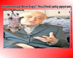 Deveye sormuşlar Neren Doğru?; 'Hoca Efendi yanlış yapıyorsun'