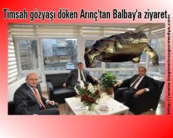 Timsah gözyaşı döken vezir Arınç'tan Balbay'a ziyaret