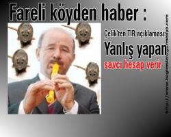 Fareli köyden haber ;  Çelik'ten TIR açıklaması: Yanlış yapan savcı hesap verir...