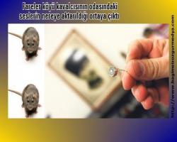 Fareler köyü kavalcısının odasındaki seslerin nereye aktarıldığı ortaya çıktı