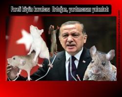 Fareli köyün kavalcısı  Erdoğan, yardımcısını yalanladı