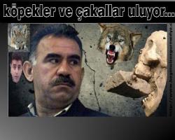 köpekler ve çakallar uluyor...